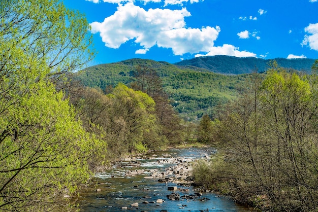 Rio de montanha flui perto da floresta e montanhas céu azul com nuvensTemporada de primavera