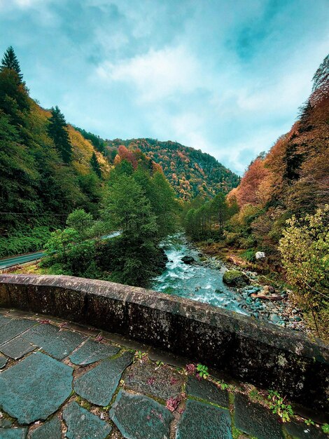 Foto rio de montanha nas montanhas