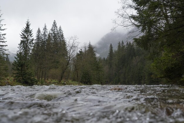 Rio de montanha no alto Tatras, Polônia