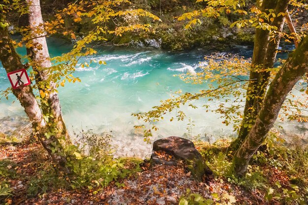 rio de montanha no desfiladeiro de Vintgar na Eslovênia