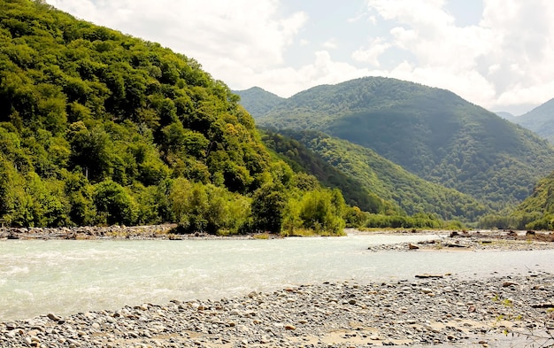 rio de montanha no fundo das montanhas e florestas verdura verão