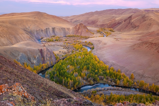 Foto rio de montanha no vale com vista para as montanhas de larício amarelo e outono na dawnlai rússia