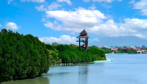 rio de paisagem