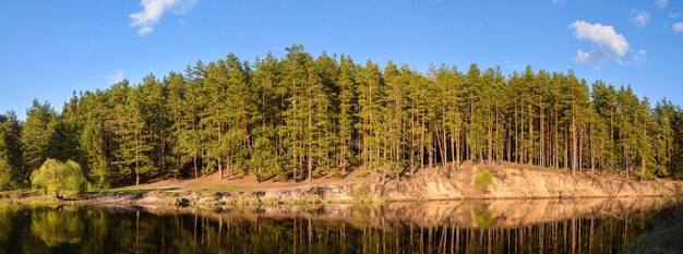 Rio de primavera entre o panorama das florestas