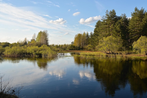 Rio de primavera na região de Ryazan da Rússia