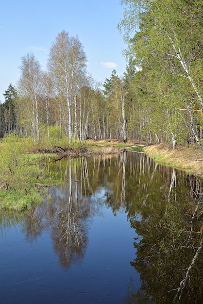 Rio de primavera na região de Ryazan da Rússia