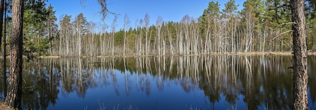 Rio de reserva florestal na Rússia central