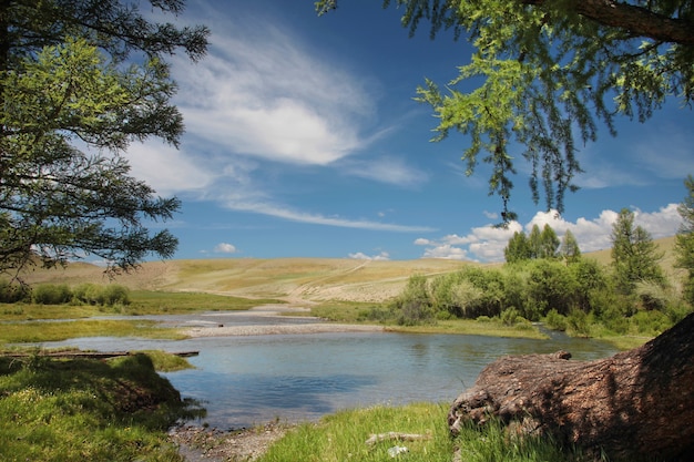 Río en un día soleado de verano