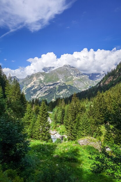 Río Doron en el valle alpino del Parque Nacional de Vanoise