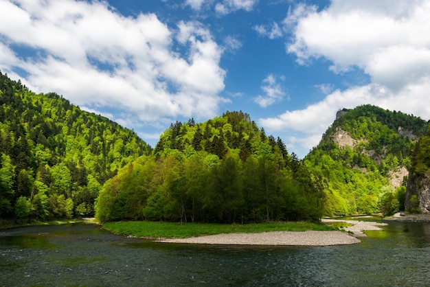 Rio Dunajec no Parque Nacional Pieniny na Polônia na primavera