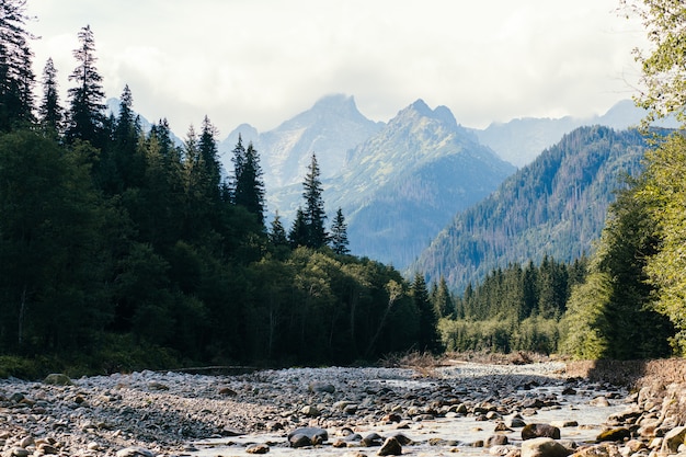 Rio, e, montanhas, olho mar, polônia, Zakopane