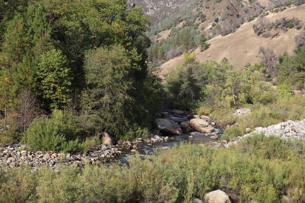 Rio e vales de Yosemite Merced