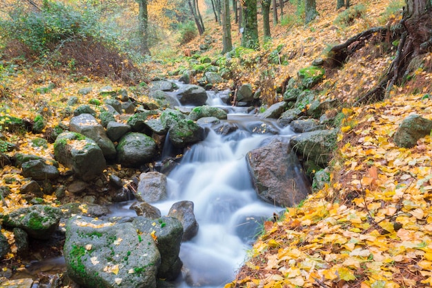 Río, efecto seda, hojas caídas.