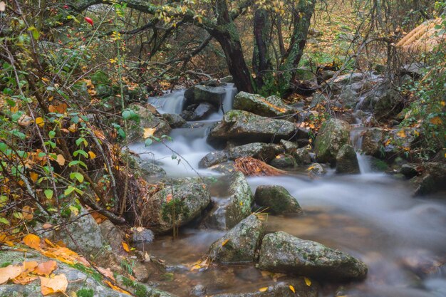 Río, efecto seda, hojas caídas.