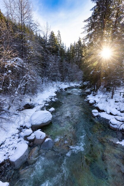 Rio em árvores naturais canadenses na floresta inverno neve céu ensolarado