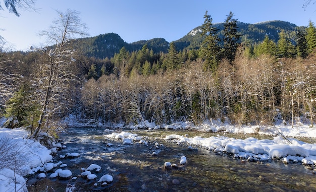 Rio em árvores naturais canadenses na floresta inverno neve céu ensolarado