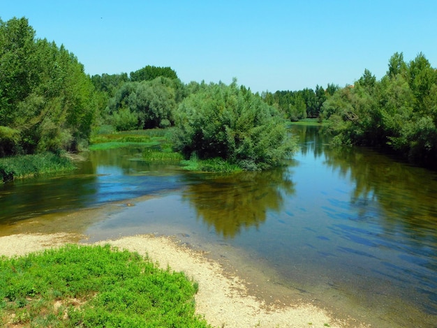 Río Esla en Valencia de Don Juan Belleza en la Naturaleza