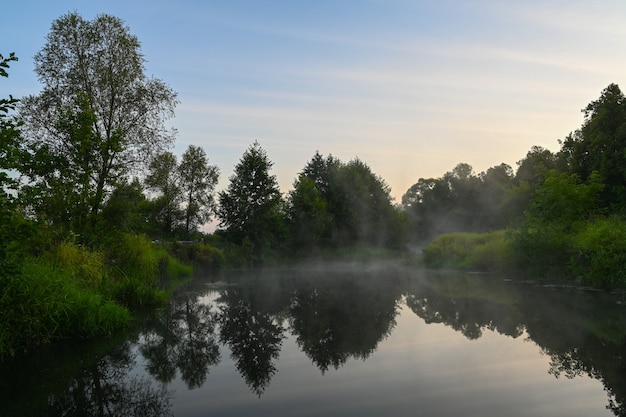 El río está cubierto de niebla matutina al amanecer rodeado por un denso bosque verde Naturaleza salvaje