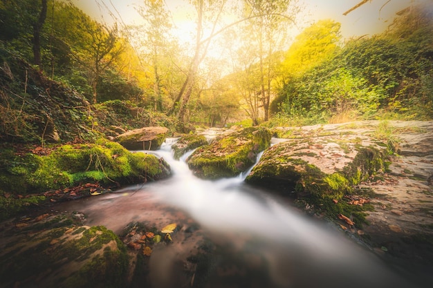 Río de fantasía en otoño.