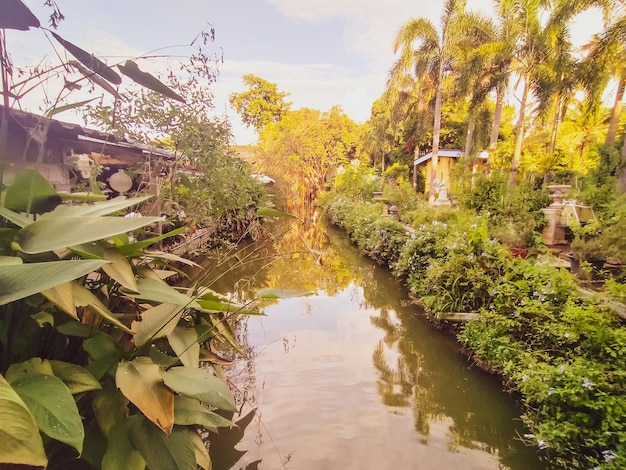 Un río en Filipinas