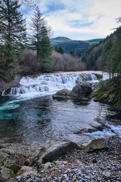 Rio fluindo através de rochas na floresta contra o céu