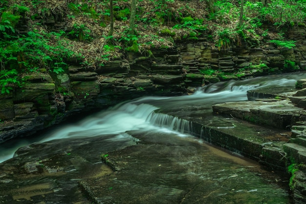 Rio fluindo através de rochas na floresta