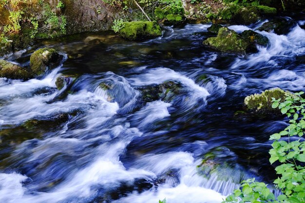 Rio fluindo através de rochas na floresta