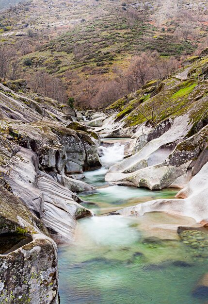 Foto rio fluindo através de rochas na floresta