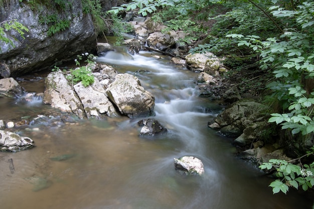 Rio fluindo entre as pedras