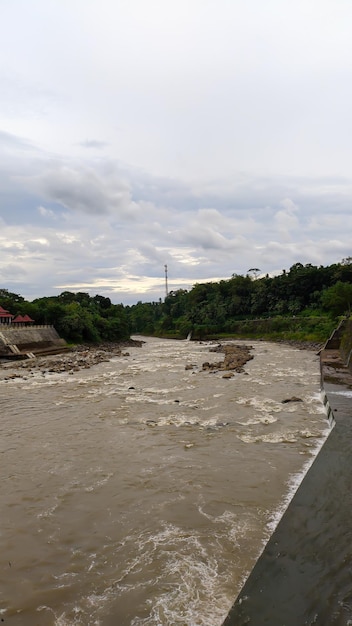 El río fluye con el bosque a su lado.