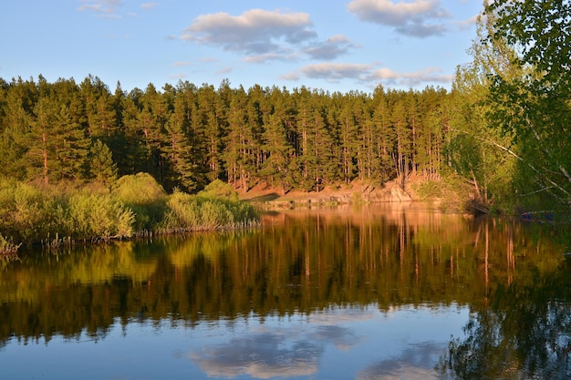 El río fluye en la primavera entre los bosques.