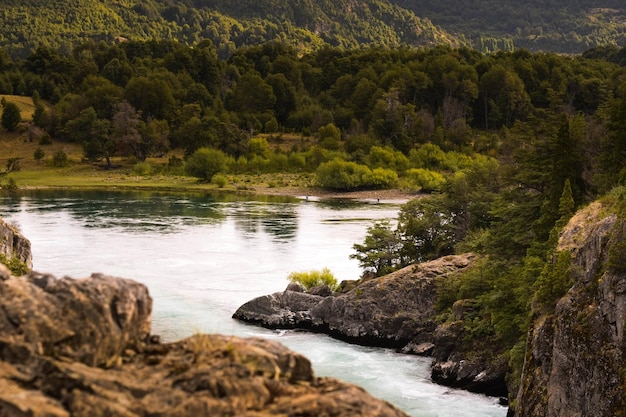 Un río fluye a través de un bosque con montañas al fondo.