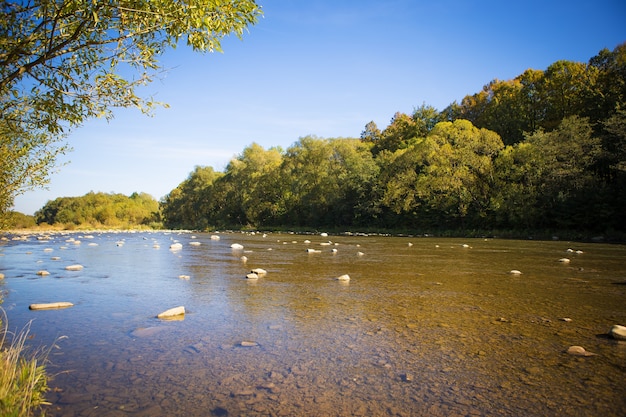 El río fluye a través de las montañas de los Cárpatos.