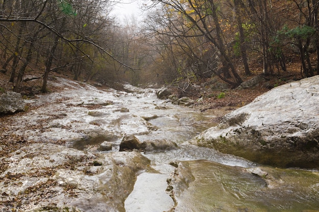 Río en el fondo de las montañas