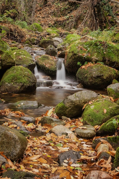 río de fotos de larga exposición