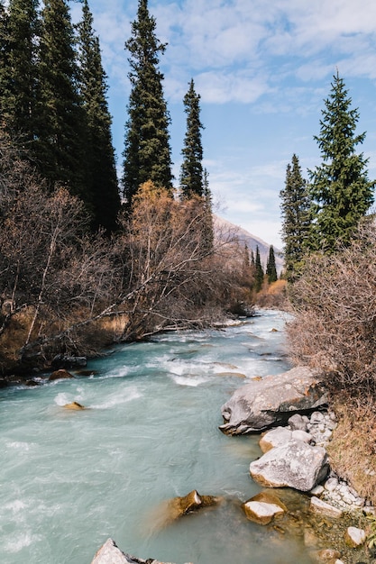 Rio glacial flui através da passagem de montanha Ala Archa no Quirguistão