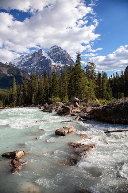 Rio glaciar no Parque Nacional de Yoho durante um dia de verão ensolarado vibrante