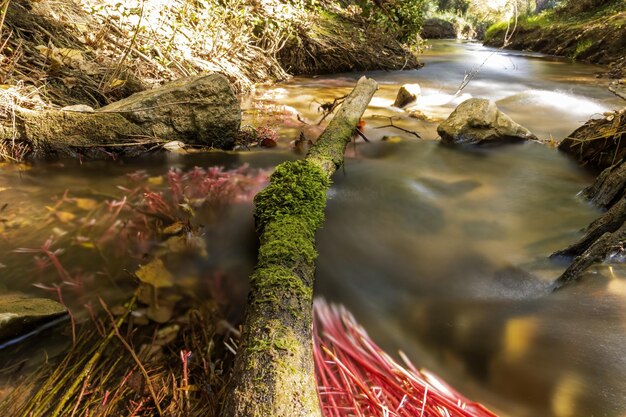 Foto río guadalaviar afluente del turia en teruel agua sedosa