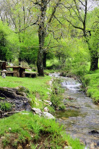 Río Guadalquivir por el Parque Nacional de Cazorla Jaén