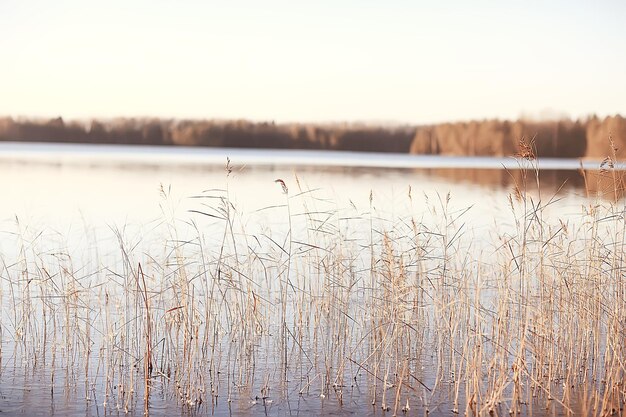 río helado noviembre diciembre, paisaje estacional en la naturaleza invierno