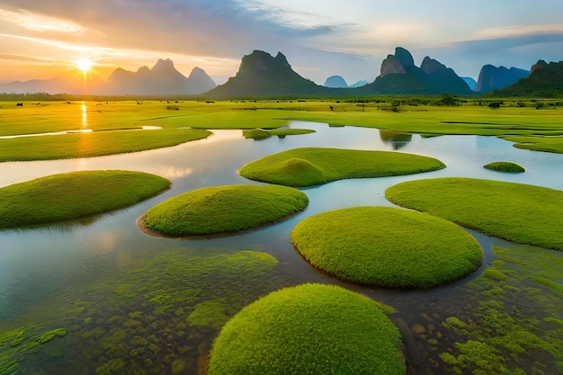 Un río con hierba verde creciendo en él