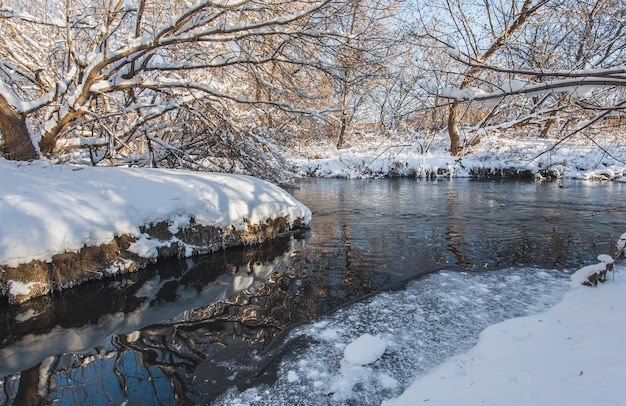 Río de invierno y árboles en temporada.