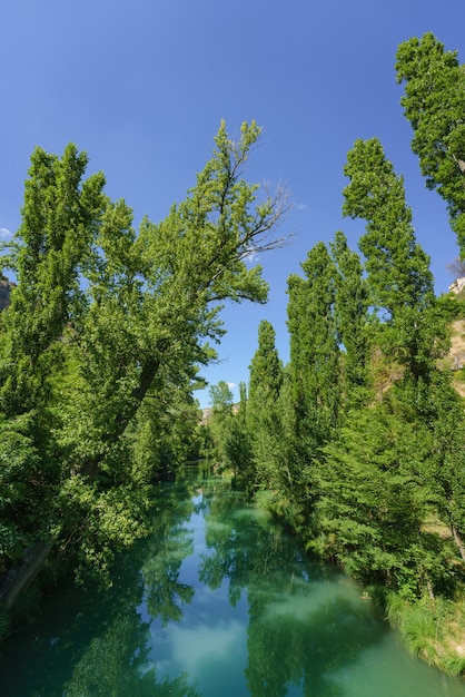 El río Jucar a su paso por la ciudad de Cuenca en Castilla La Mancha España fluye con agua verde rodeado de árboles de ribera en un día soleado