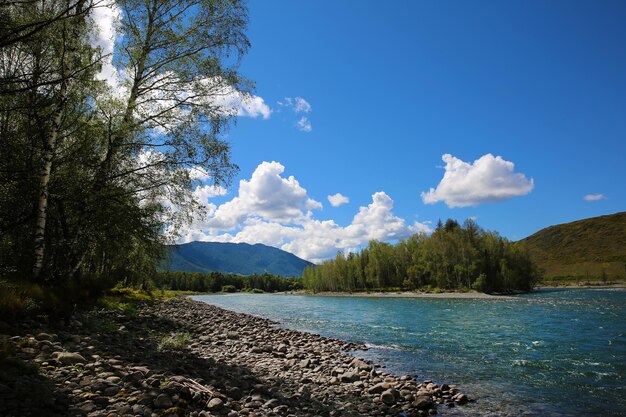 Río Katun en las montañas de Altai