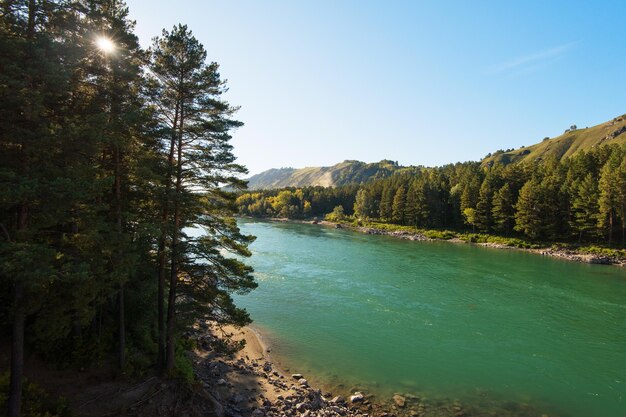 Foto rio katun nas montanhas altai sibéria rússia