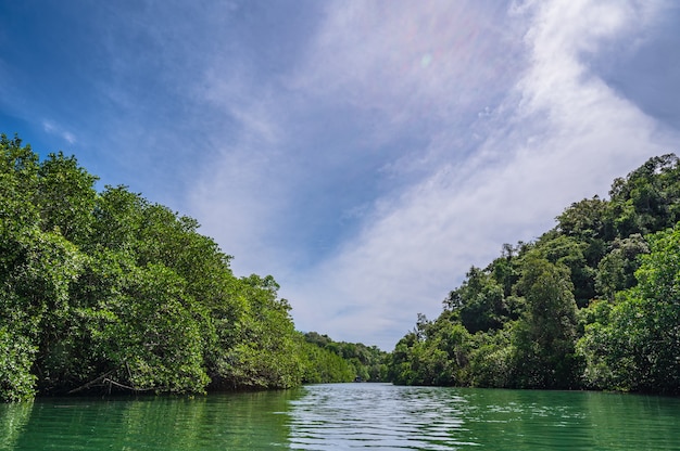 Río Klong Chao en la isla de Koh Kood en Trat Tailandia. Koh Kood, también conocido como Ko Kut, es una isla en el Golfo de Tailandia