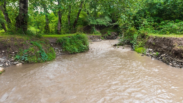 Rio lamacento na floresta depois das chuvas