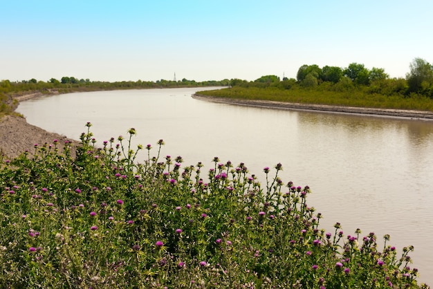 Río llano tranquilo