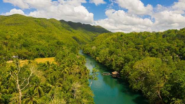 Río loboc en la selva bohol filipinas