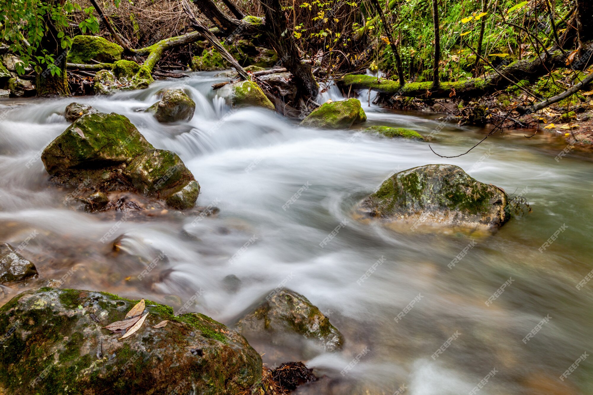 Rio majaceite, el bosque, cádiz, espanha